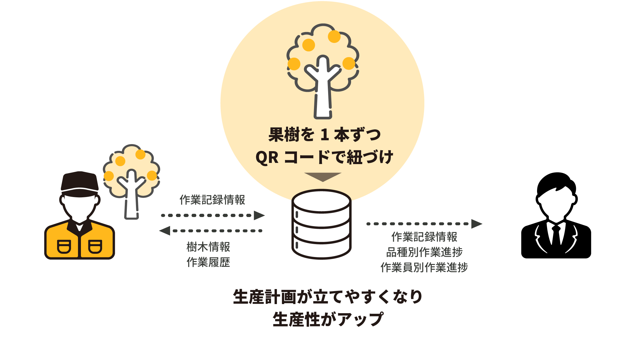 果樹を1本ずつQコードで紐づけすることで、生産計画が立てやすくなり生産性がアップ